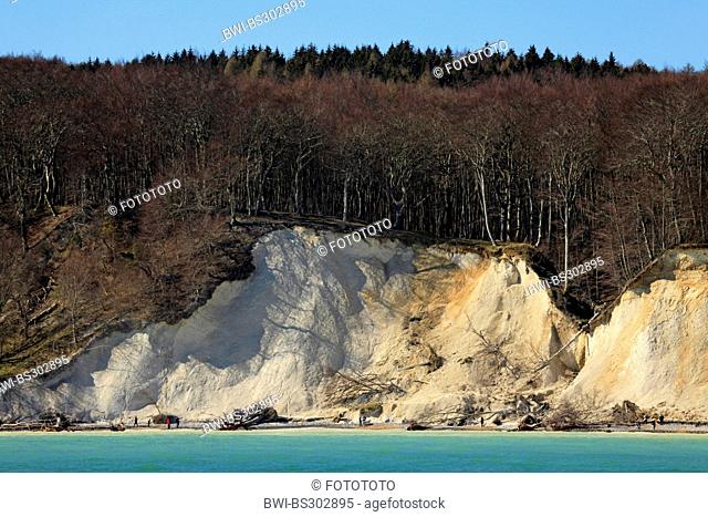 view from the sea at the steep coast with the famous chalk cliffs, a place of fresh erosion in it and some promenaders on the narrow beach below, Germany