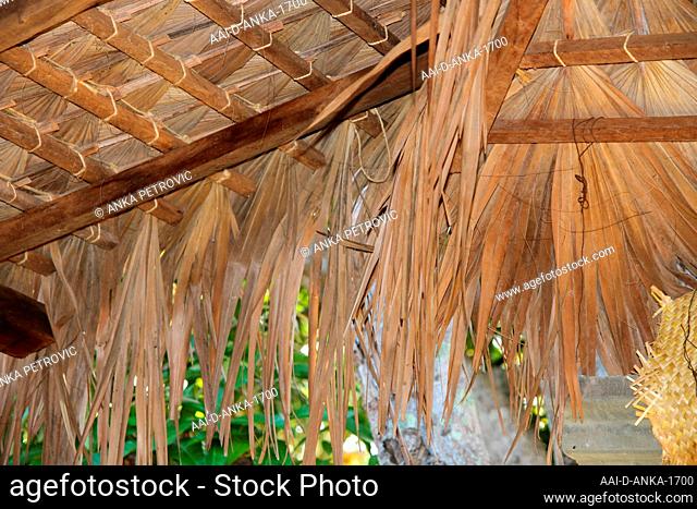Traditional palm-leaved thatch roof ceiling, Ampangorinana Village, Nosy Komba Island, Madagascar