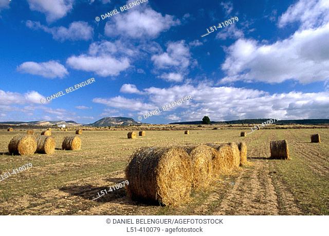 Grain hay bales. Titaguas, Los Serranos. Valencia province, Spain