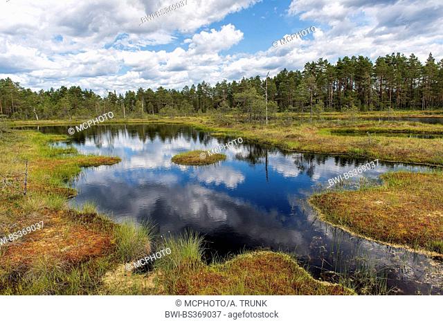 highmoor in Vaestmanland, Sweden