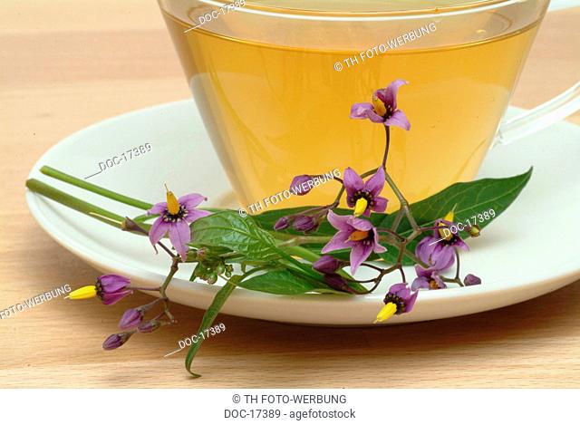 tea made of Bittersweet - medicinal tea - herbtea - Solanum dulcamara - Dulcamara - Morella ampicante