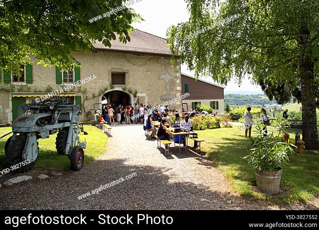 'Caves ouvertes' annual event when vineyards and cellars are open for public and tasting wines is possible, people enjoying event and tasting wines