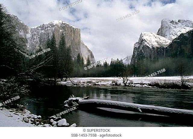 River flowing through a forest, El Capitan, Merced River, Yosemite National Park, California, USA