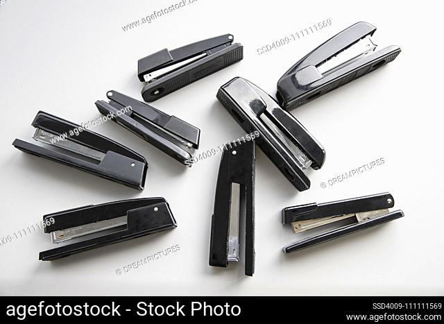 Overhead shot of eight staplers