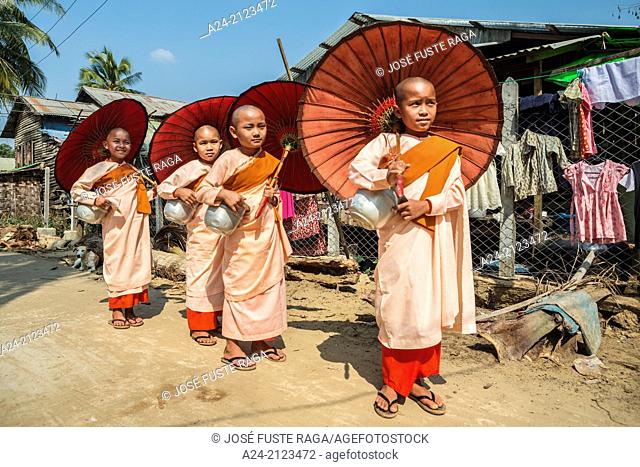 Myanmar , near Yangon Kyauktan City, Nuns paradeing
