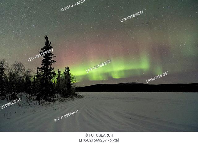 Northern lights over pine forest and frozen lake near Kiruna, Sw