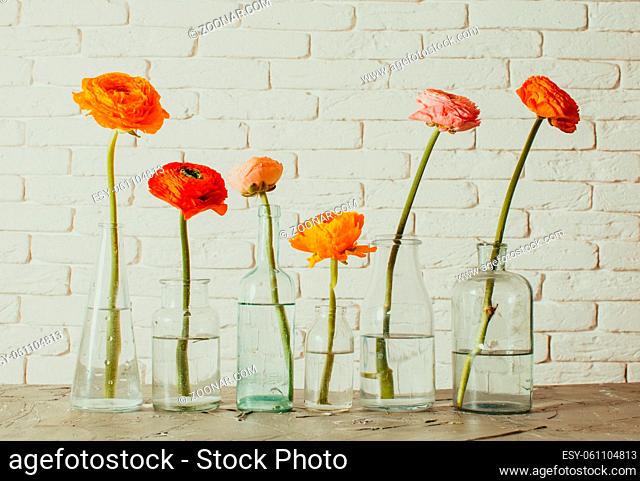 Unit yellow and red buttercup flowers standing single each in vintage glass bottle. Six small glass vases with spring flowers in them