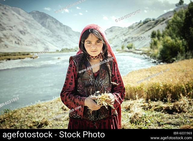 Girl, 8 years, bundles small wheat yarbs, members of the ethnic group of the sedentary Wakhi, Khandud, Wakhan Corridor, Afghanistan, Asia