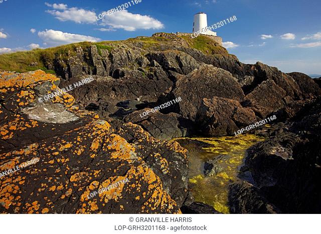 Wales, Anglesey, Llanddwyn Island. Twr Mawr big tower lighthouse on Llanddwyn Island with lichen covered rocks in foreground