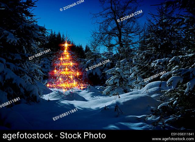 Christmas tree with lights in winter forest and white snow. Christmas Card