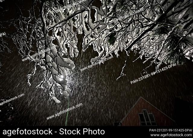 01 December 2023, Bavaria, Kaufbeuren: A tree covered in heavy snow stands in the thick snowdrift. Photo: Karl-Josef Hildenbrand/dpa