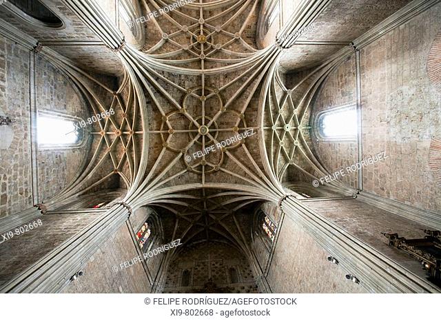Vault in the church of the old monastery and hospital of San Marcos, Leon. Castilla-Leon, Spain