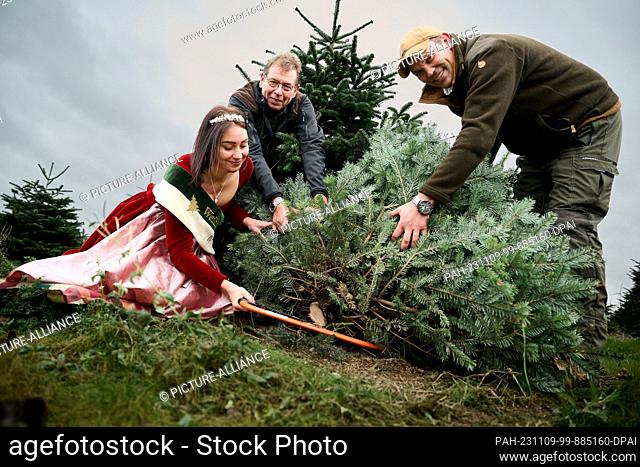 09 November 2023, North Rhine-Westphalia, Anröchte: Christmas tree queen Sophia Adlberger, Eberhardt Hennecke, chairman of the Christmas tree and cut greenery...