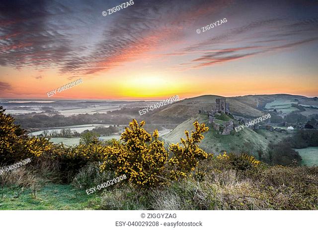 Sunrise overlooking the ruins of Corfe Castle on the Isle of Purbeck in Dorset