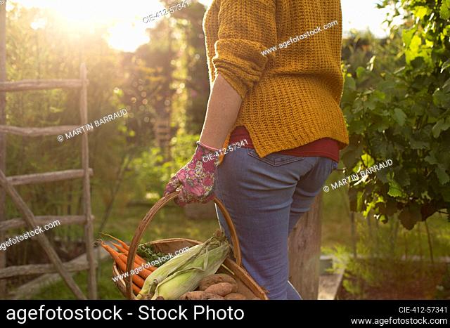 Mujer cosechando verduras frescas en el soleado jardín de verano