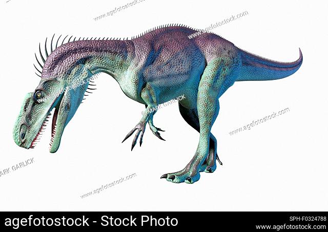 Monolophosaurus, artwork. Monolophosaurus (meaning 'single-crested lizard') was a bipedal carnivorous theropod dinosaur that lived around 170 million years ago...