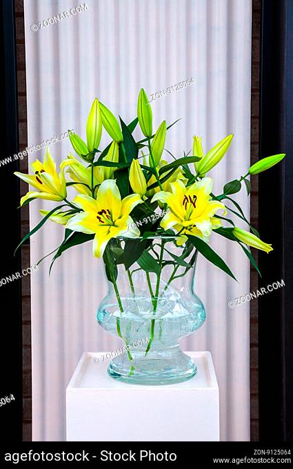 Yellow white lilies in glass vase, Keukenhof Park, Lisse in Holland
