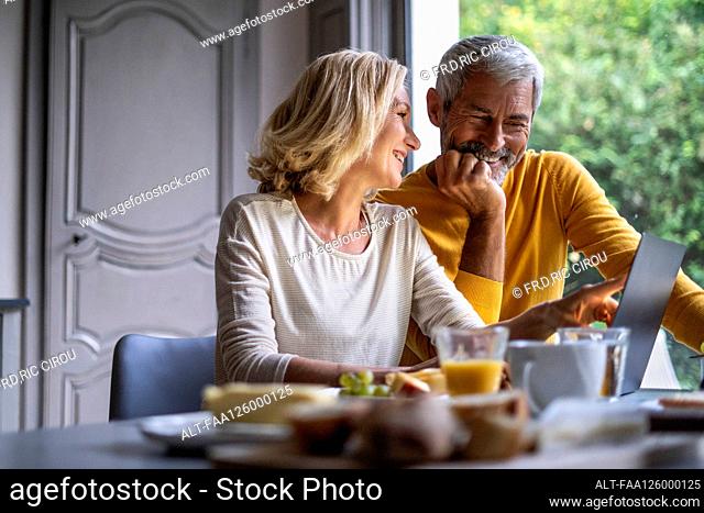 Smiling mature couple using laptop at home
