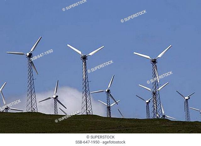 Wind turbines in a field, Altamont Pass Wind Farm, Altamont Pass, California, USA