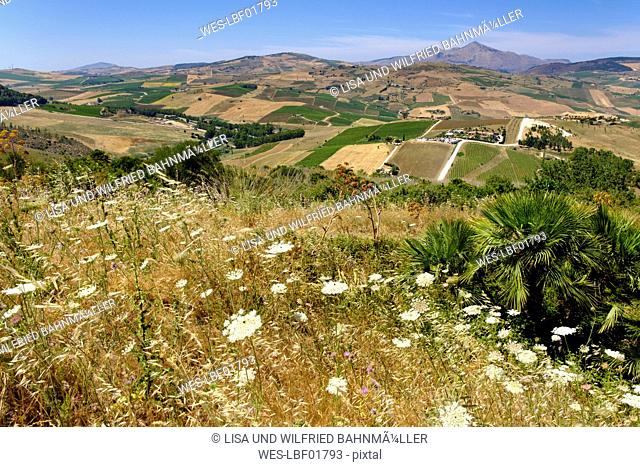 Italy, Province of Trapani, View from Theatre of Segesta to Agora di Segesta and Villa Palmeri