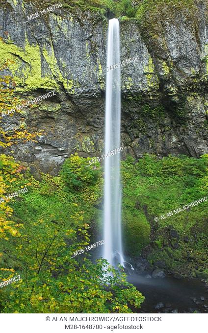 Elowah Falls, Columbia River Gorge National Scenic Area Oregon
