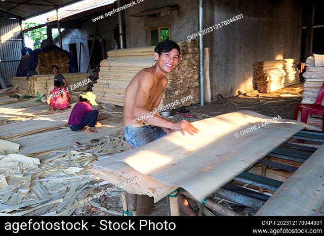 production of veneer by local workers in countryside (CTK Photo/Ondrej Zaruba)