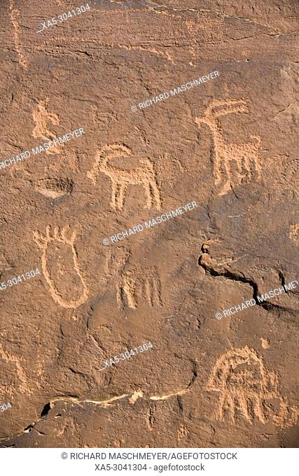 Ancestral Puebloan Petroglyphs, Upper Sand Island, Bears Ears National Monument, Utah, USA