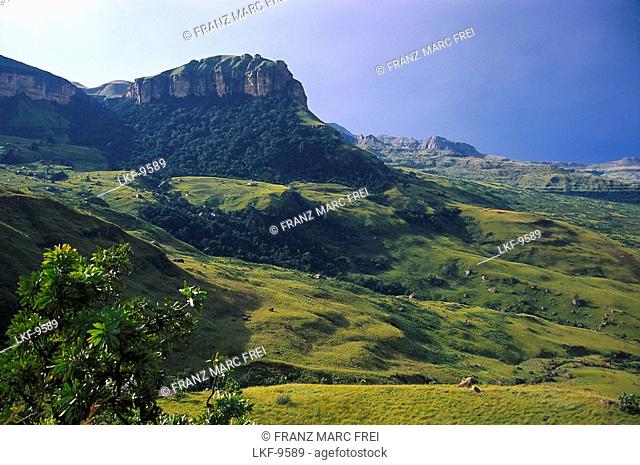 Royal Natal National Park, Drakensberge, Natal, South Africa