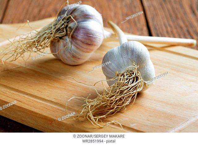 head of garlic on the table rustic