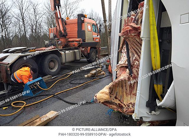 20 March, Germany, Boppard: Recovery workers attempt to right a juggernaut carrying beef which overturned on the Autobahn 61 (A61) motorway near Boppard
