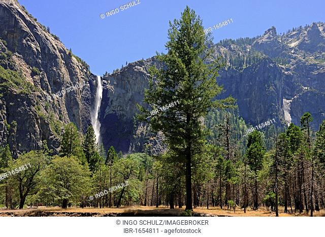 Bridalveil Falls, a waterfall in Yosemite National Park, California, USA, North America