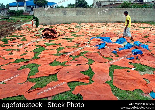 Workers of a tannery from Hazaribagh put leather pieces out to dry on August 26th 2021 in Dhaka, Bangladesh. They were previously painted on wooden boards out...
