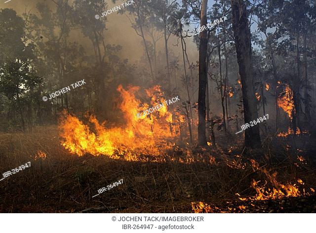 Fire in Kakadu National Park, Northern Territory, Australien