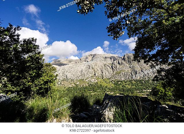 Puig Major, the highest of the island of Mallorca point, 1445 meters above sea level, Sierra de Tramuntana, municipality of Escorca, Majorca, Balearic Islands