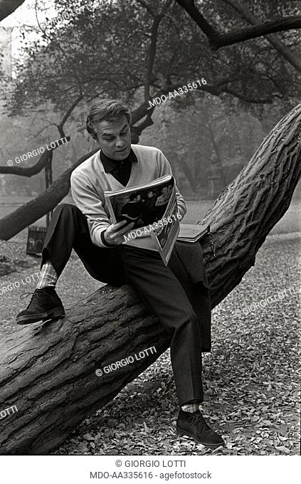 Giorgio Albertazzi reading. The Italian actor Giorgio Albertazzi reading sitting on the trunk of a tree. 1965