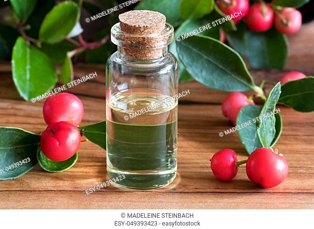 A bottle of wintergreen essential oil with wintergreen leaves and berries on a wooden background