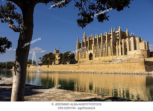 Cathedral La Seu, Parc del Mar and Royal Palace of La Almudaina, Palma de Mallorca. Majorca, Balearic Islands, Spain Europe