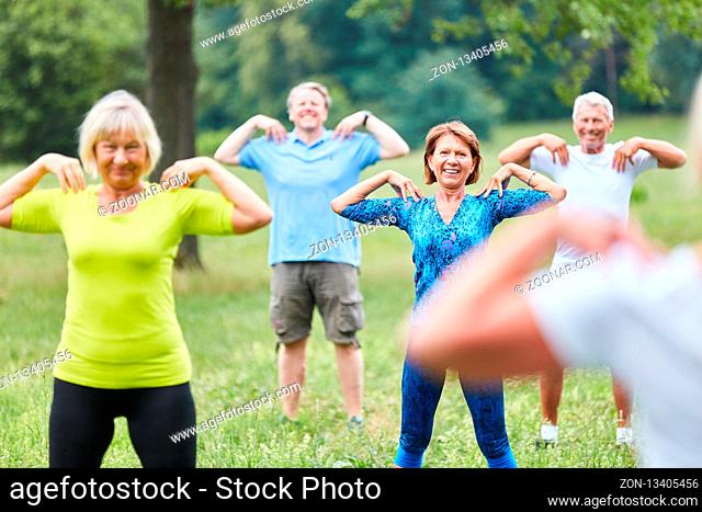 Gruppe Senioren macht Gymnastik Kurs für Gesundheit und Fitness im Park
