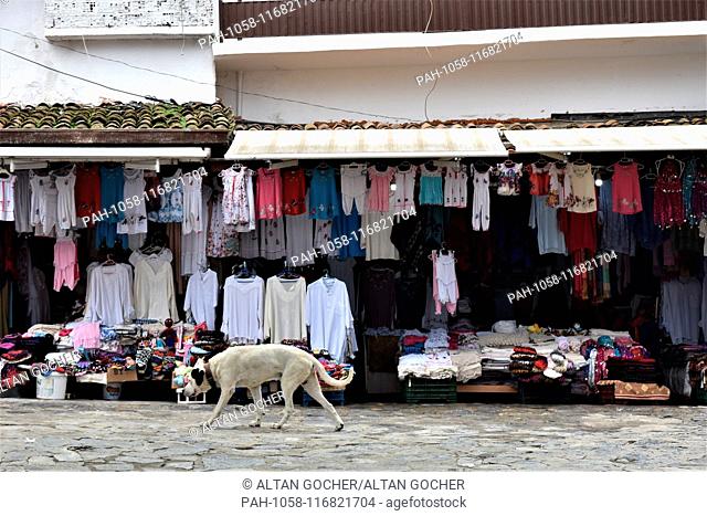 23 January 2019, Turkey, Izmir, Sirince: A stray dogs walks past a clothing store. Photo: Altan Gocher | usage worldwide. - Izmir/Turkey