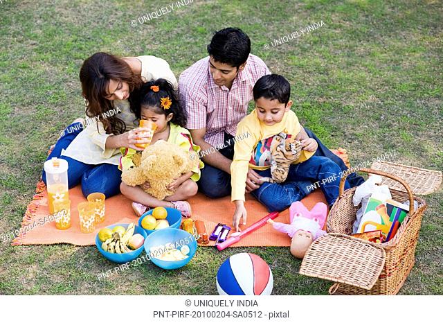 Family enjoying picnic in a garden, Gurgaon, Haryana, India