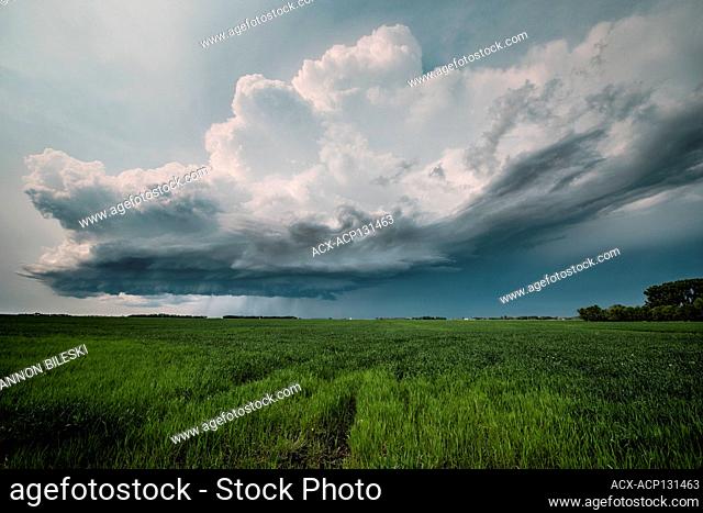 Storm forming shelf cloud over field in southern Manitoba, Canada