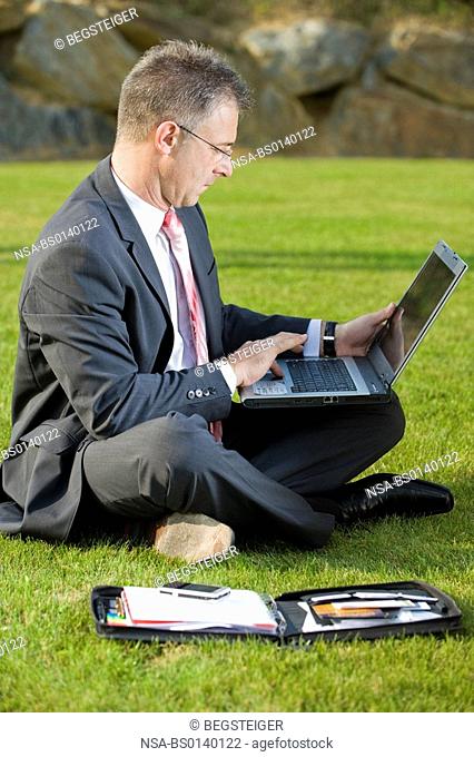businessman sitting in meadow and using laptop