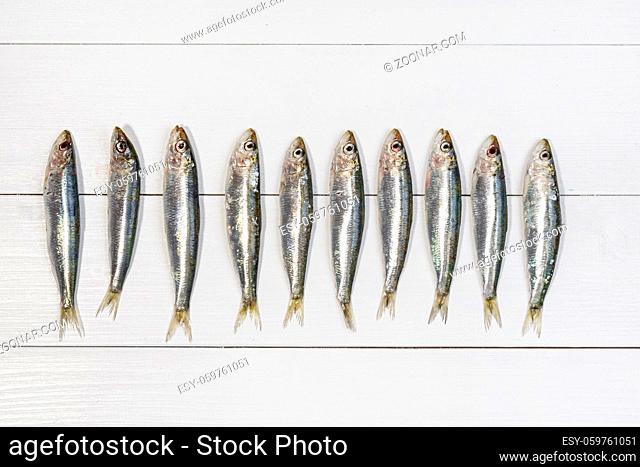 some sardines arranged on a white wooden table