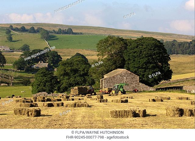 Tractors and trailers, gathering bales in organic hay meadow, Ravenstonedale, Cumbria, England