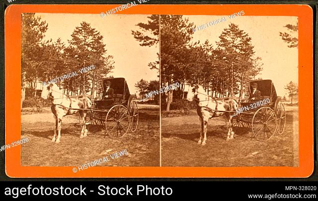 A buggy driver. Whittemore, A. J. (Photographer). Robert N. Dennis collection of stereoscopic views United States States Maine