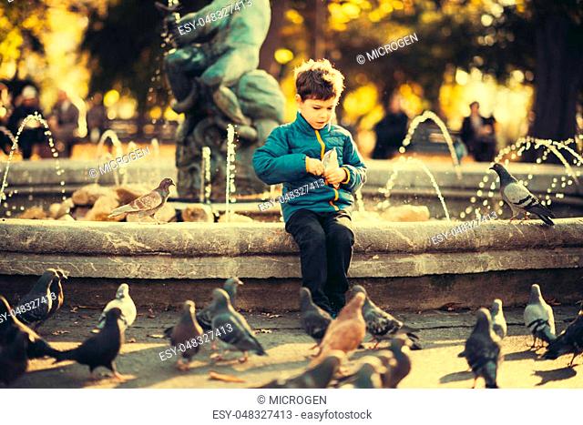 Cute boy feeding pigeons in park