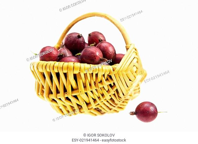 Basket with berries of a red gooseberry, a white background