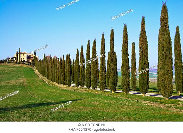 Val d'Orcia, Siena Province, Siena, Tuscany, Italy, Europe