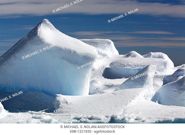 First year icebergs in the Weddell Sea off the east coast of the Antarctic Peninsula