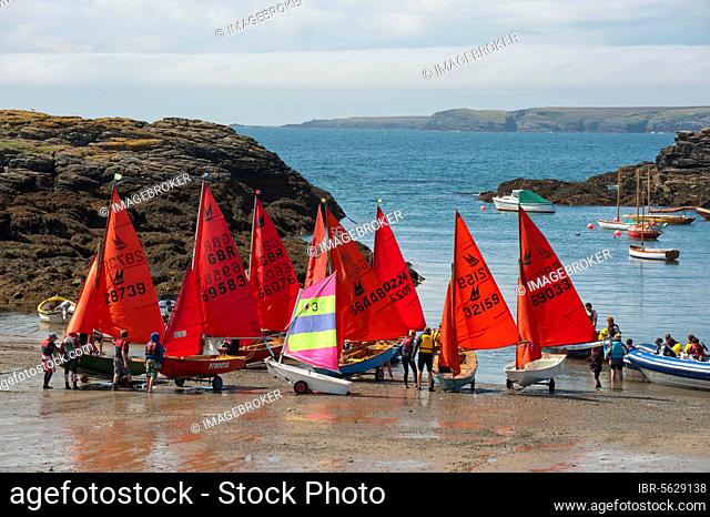 Dingys getting ready for sailing, Porth Diana, Trearddur Bay, Anglesey, Wales, United Kingdom, Europe